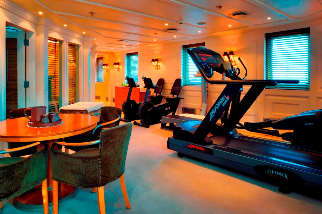 Gym with a treadmill and exercise machines along a row of windows
